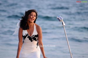 Manjari Fadnis Photo Gallery from Inkosari